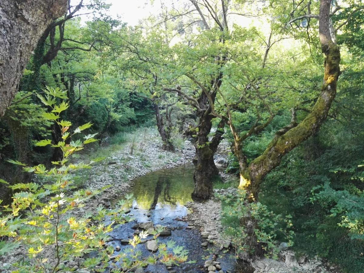 Cosy Lake House, Μια Ανάσα Πριν Τη Λίμνη Kalívia المظهر الخارجي الصورة